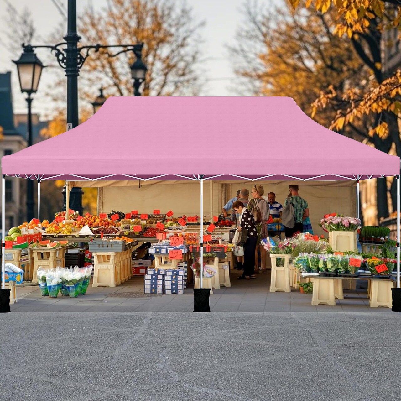 Outdoor 10x20 Portable Canopy Tent with Side Panels and Carry Bag